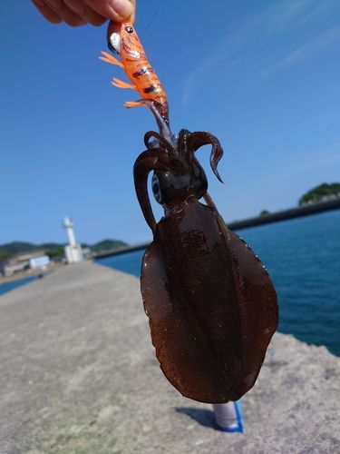 姫戸港