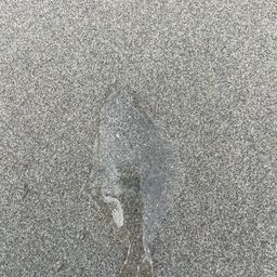 ソゲ