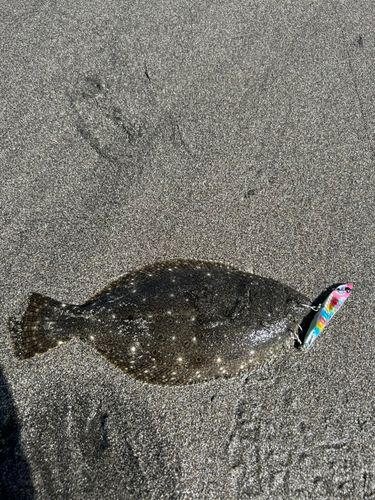 平砂浦海岸