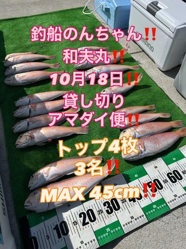 シロアマダイの釣果