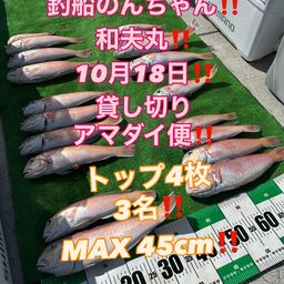 シロアマダイ