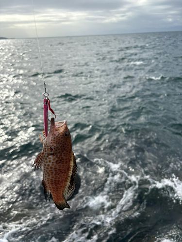江浦湾