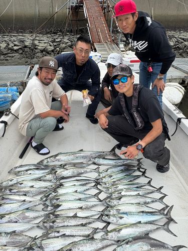 サワラの釣果