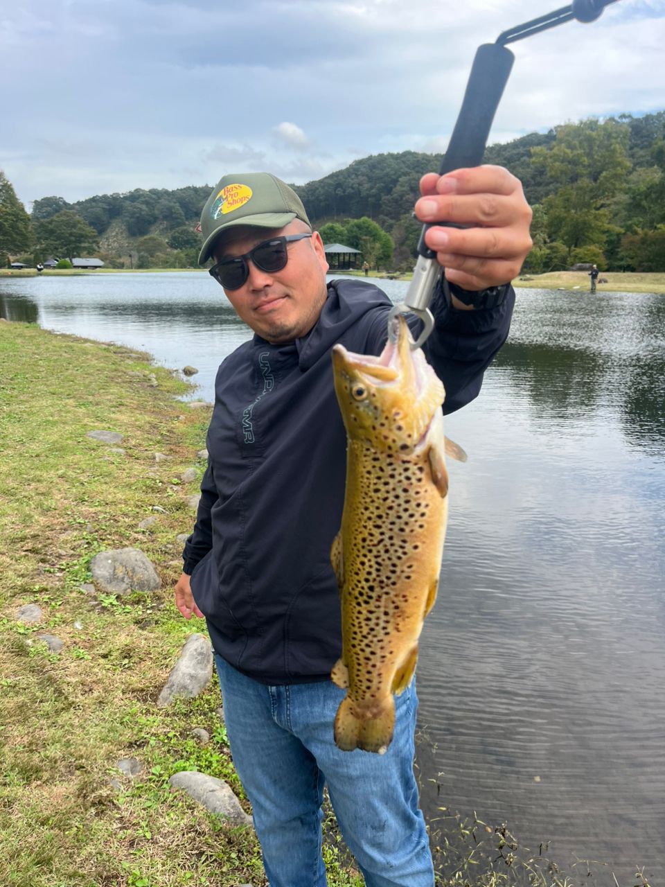 ブラウントラウト