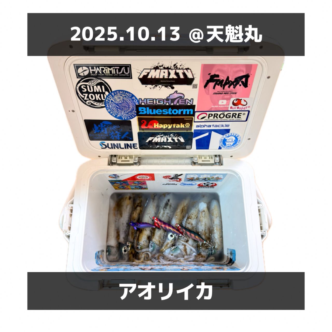 パ*丼様 メジャークラフト ロッド 19 フルソリ ティップラン FSTE-S6 パ*丼様 メジャークラフト ロッド 19 フルソリ ティップラン FSTE-S6