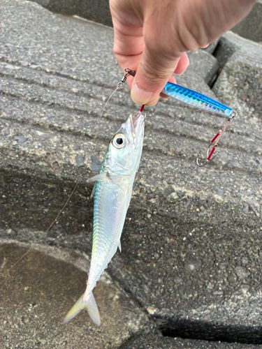 石狩湾新港