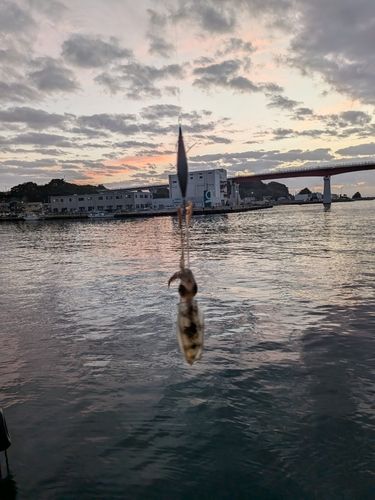 花暮岸壁