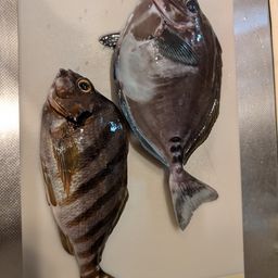 ニザダイ
