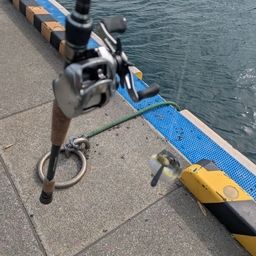 フグ