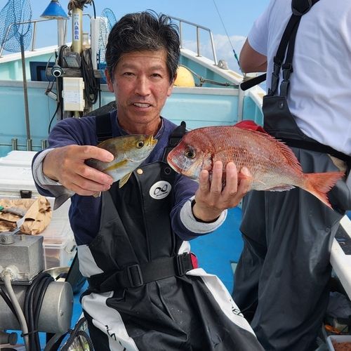 カイワリの釣果