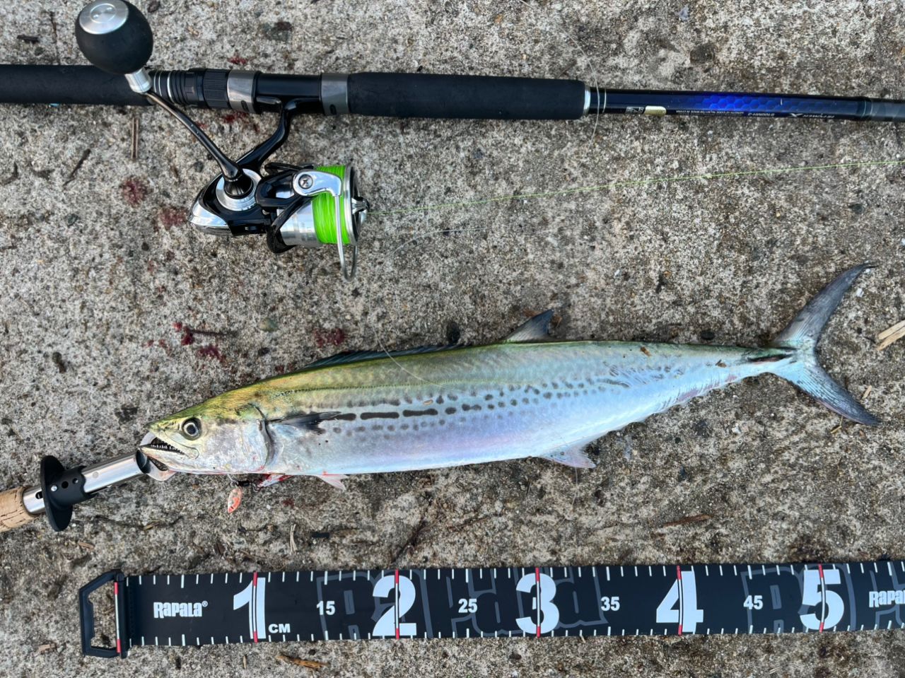 SHIMANO 21コルトスナイパーBB S100MH-3の最安値・インプレ