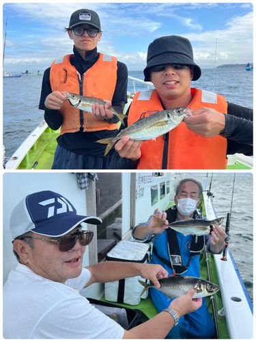 マアジの釣果