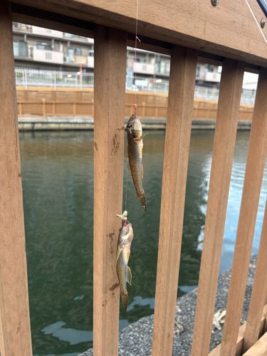 小名木川