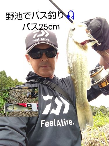 ブラックバスの釣果