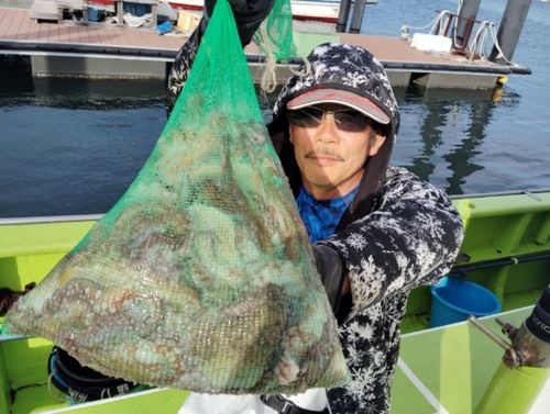 マダコの釣果