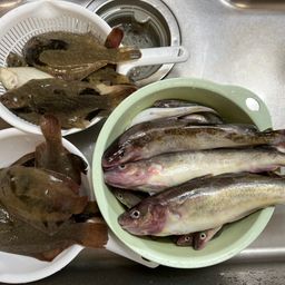 コマイ