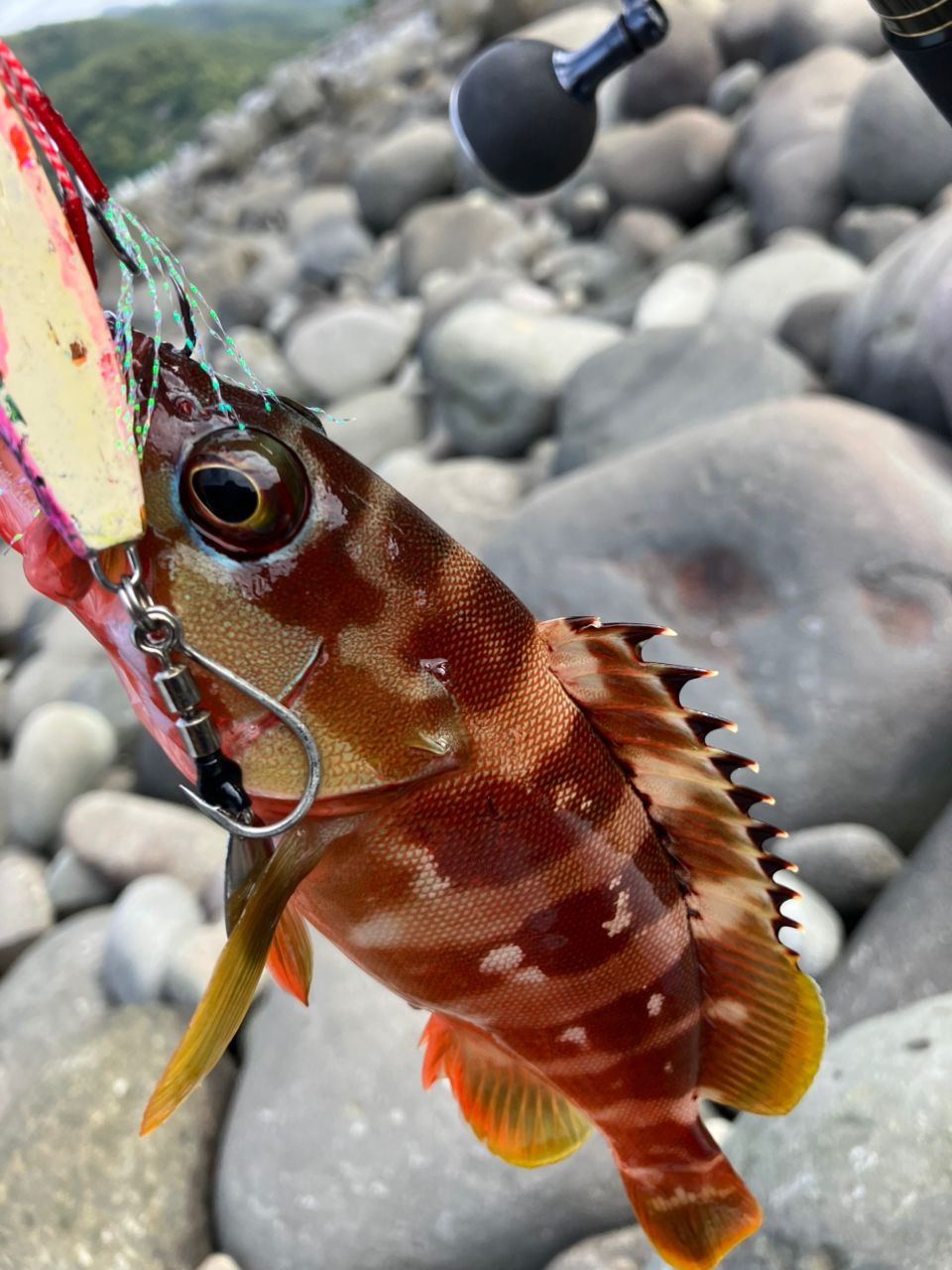 XESTA ランウェイXR 106MHの最安値・インプレ・釣果 | 本音の口コミが