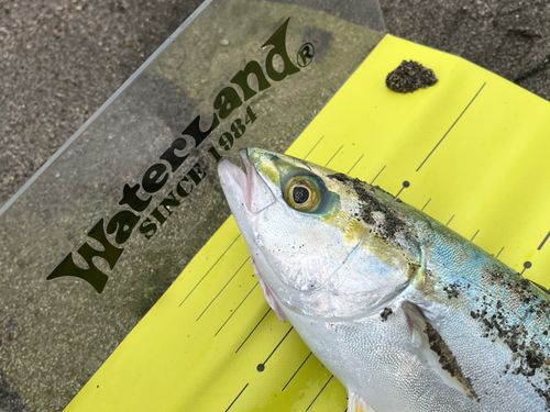釜谷浜海水浴場