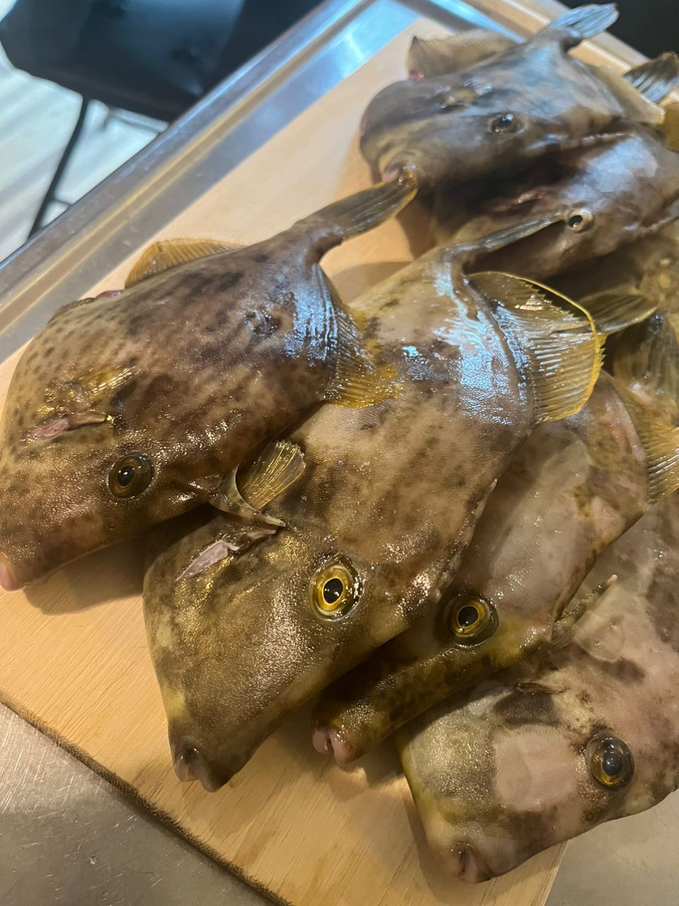 ごまきちさんの釣果 3枚目の画像