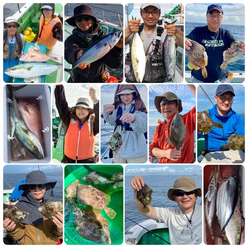 ワラサの釣果