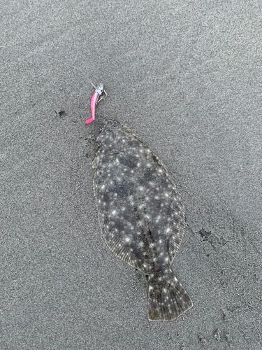 中田島サーフ