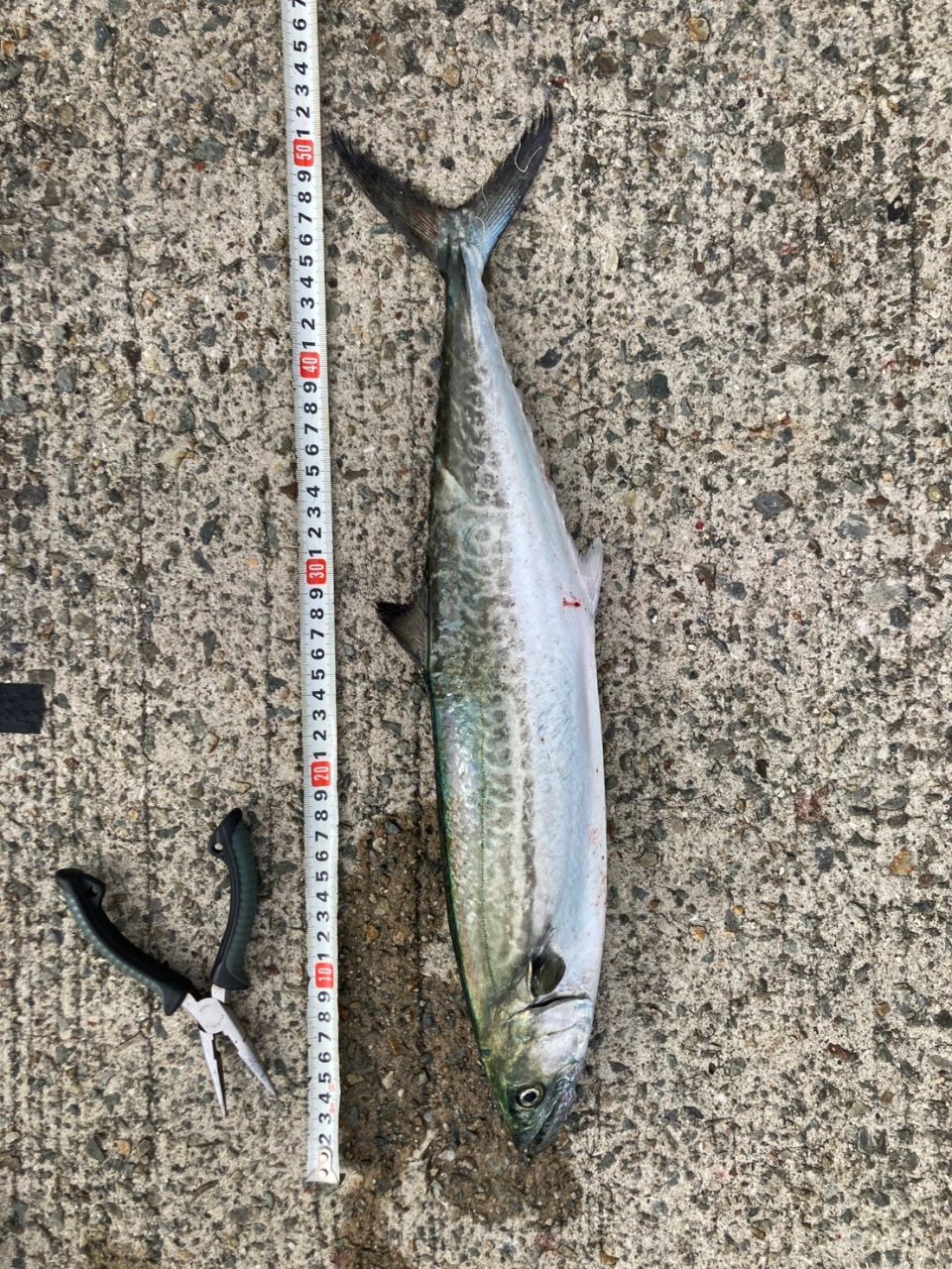 SHIMANO 23ディアルーナ S96MHの最安値・インプレ・釣果 | 本音