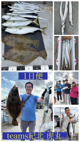 ヒラメの釣果