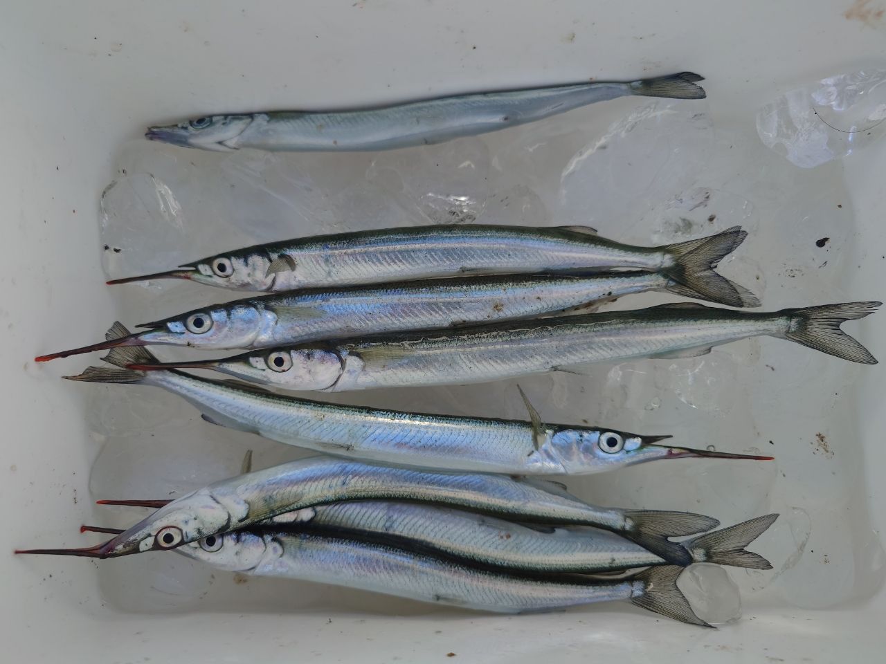 ダイワ リバティクラブ 磯風 3-53 遠投 リバティクラブ 磯風 3号-53・K – フィッシングマックス WEBSHOP