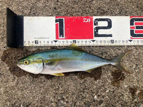浜田港（島根）