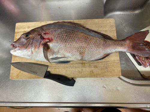 城ヶ島裏磯
