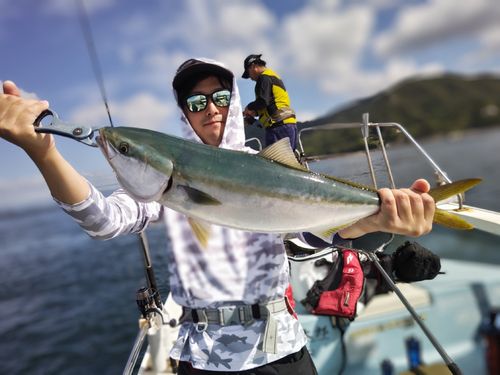 ハマチの釣果