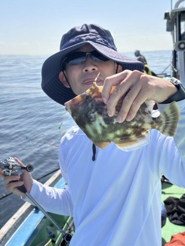 カワハギの釣果