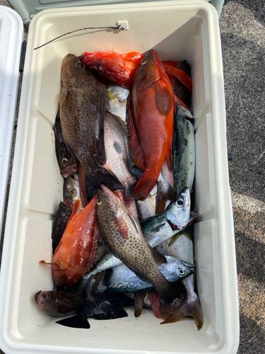 釣果