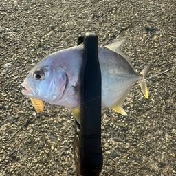 メッキ