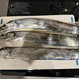 タチウオ