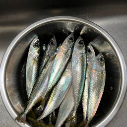 サバ