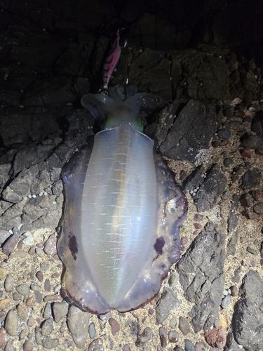 男鹿半島
