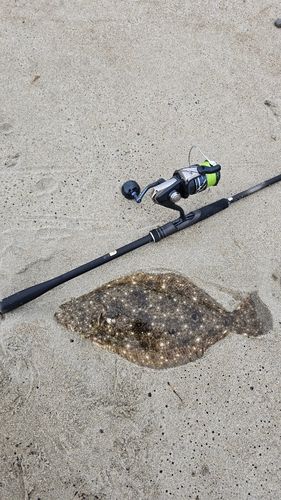 伊良湖サーフ