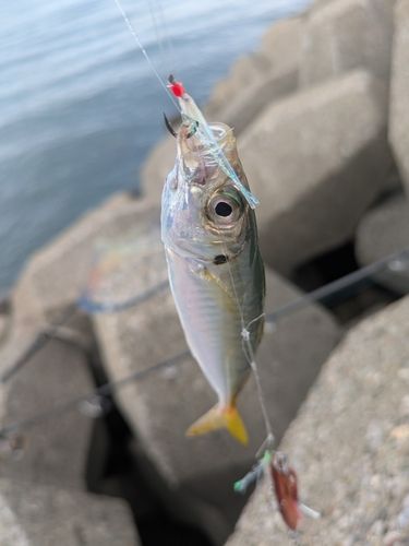高砂港