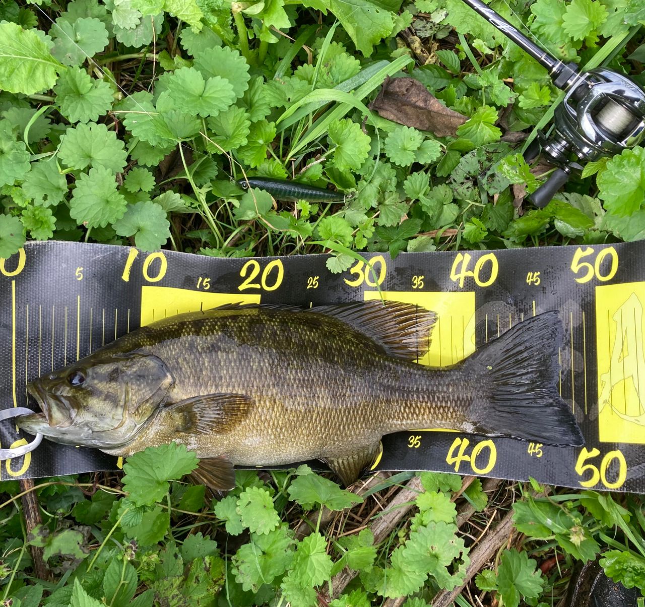 メジャークラフト　DYC-692MH MAJOR CRAFT Bass & Pike Fishing Baitcasting Rod DAYS DYC