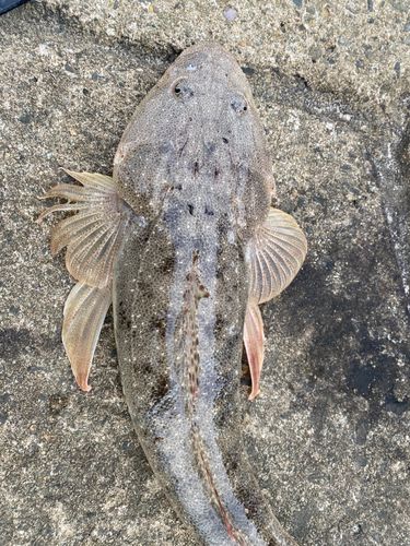 十里塚海岸