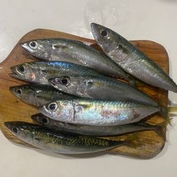 サバ
