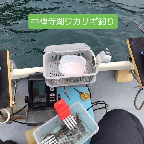 ワカサギの釣果