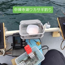 ワカサギ