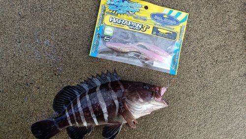 三陸海岸（宮城）