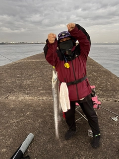 タチウオの釣果