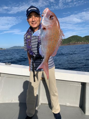 アコウの釣果
