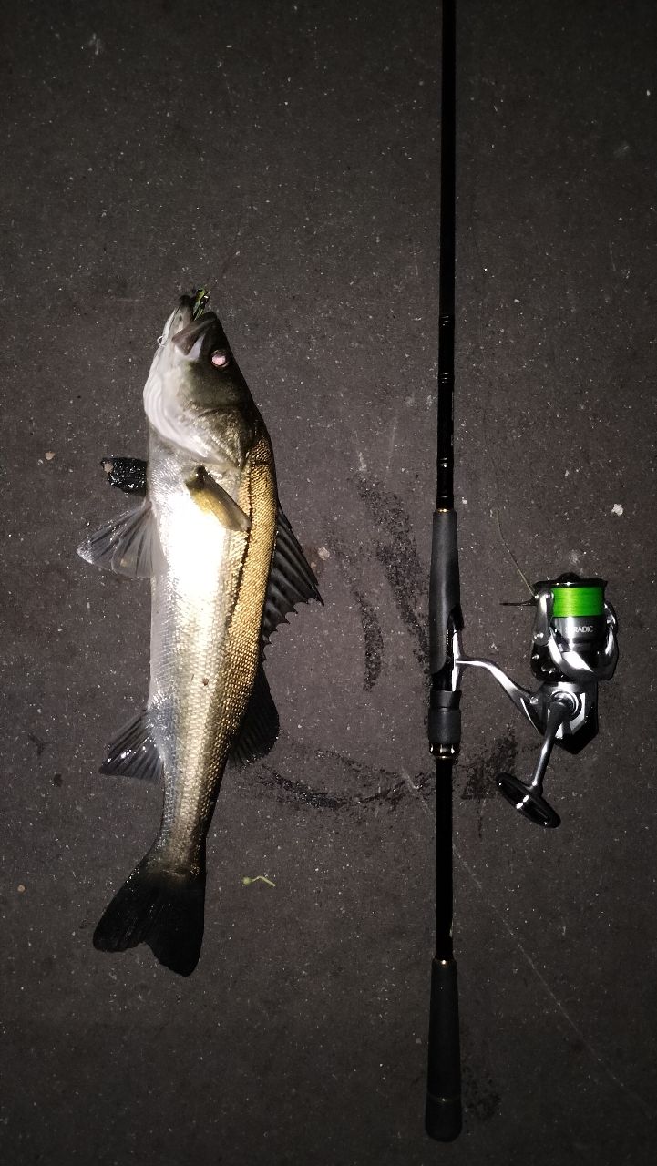 19ラテオ 90ML R ラテオ 90ML R – フィッシングマックス WEBSHOP