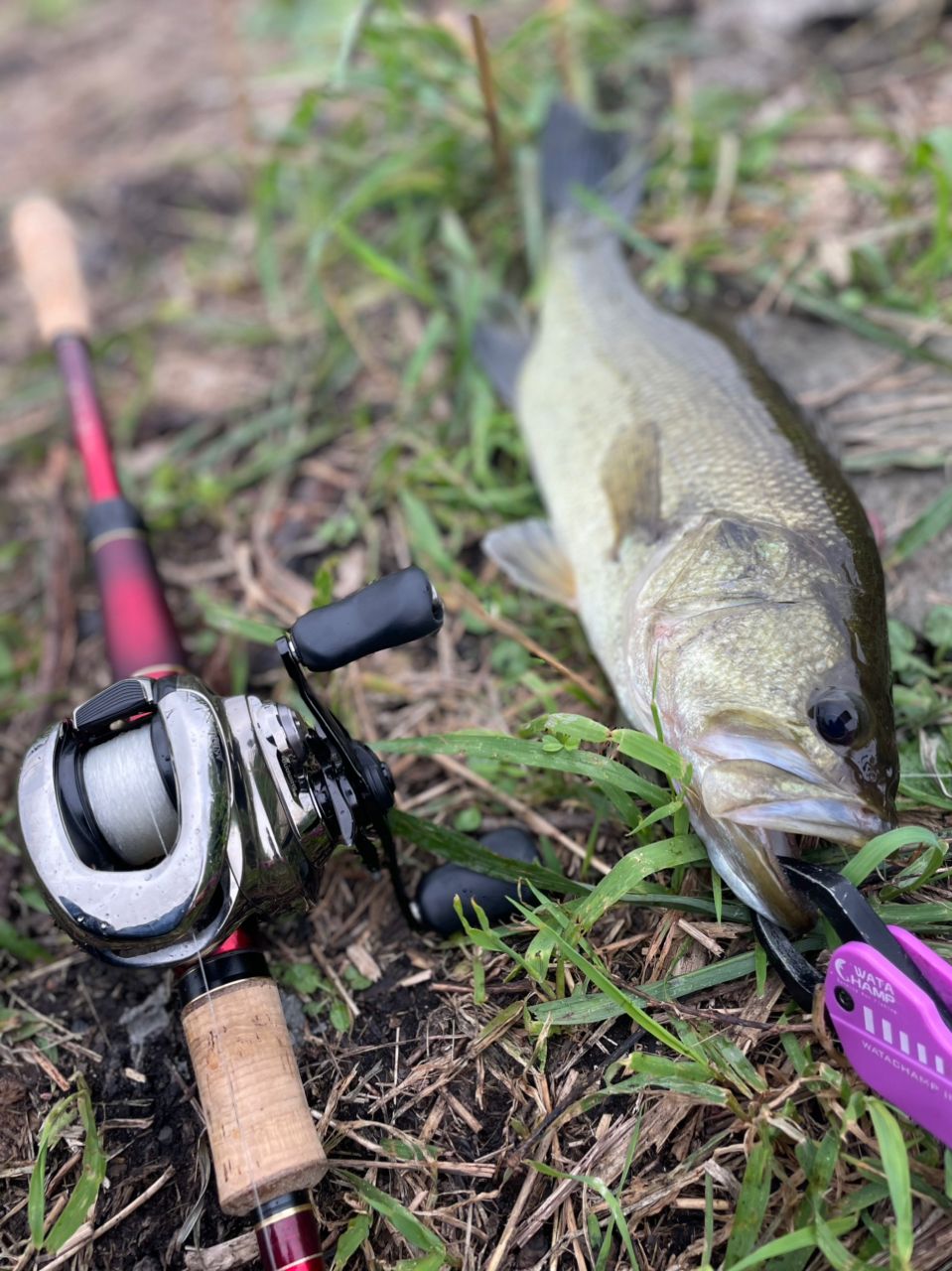 SHIMANO 21アンタレス DC XG LEFTの最安値・インプレ・釣果