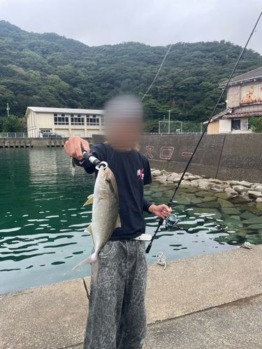 ネリゴの釣果
